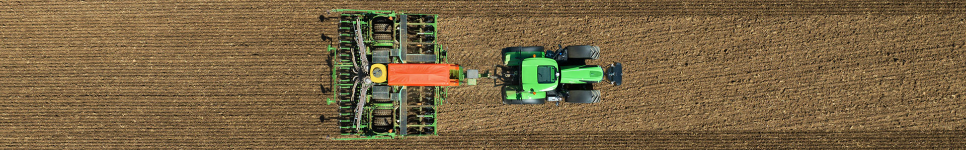 Stage-Dal-Toso-Adriano